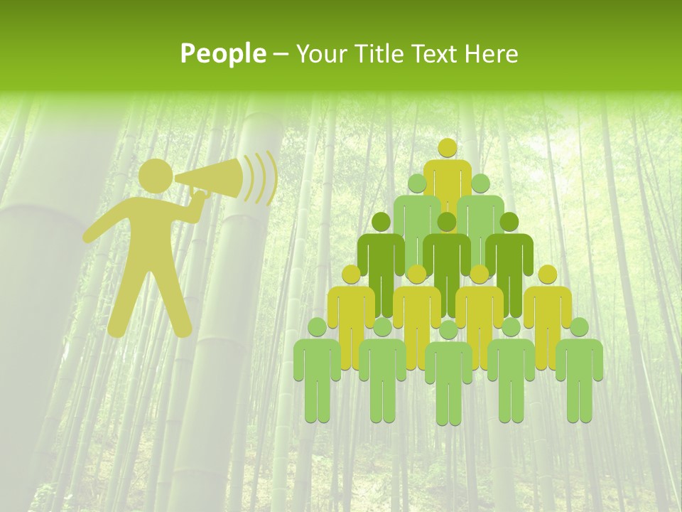 Bamboo PowerPoint Template