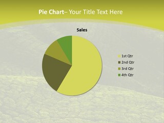 Garden Landscape PowerPoint Template