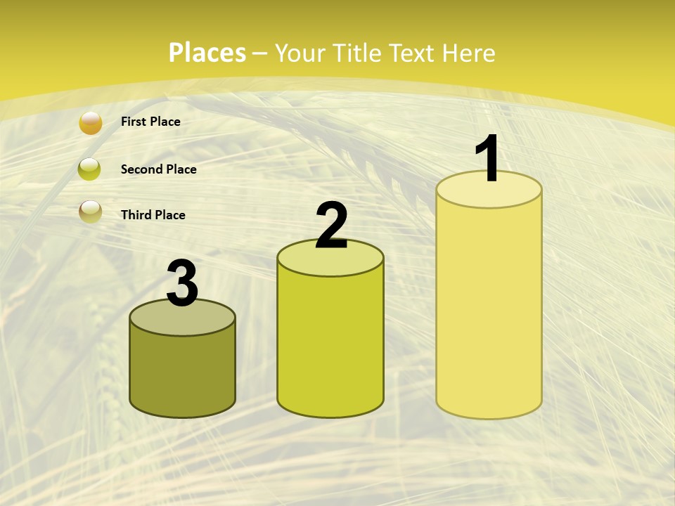 Wheat PowerPoint Template