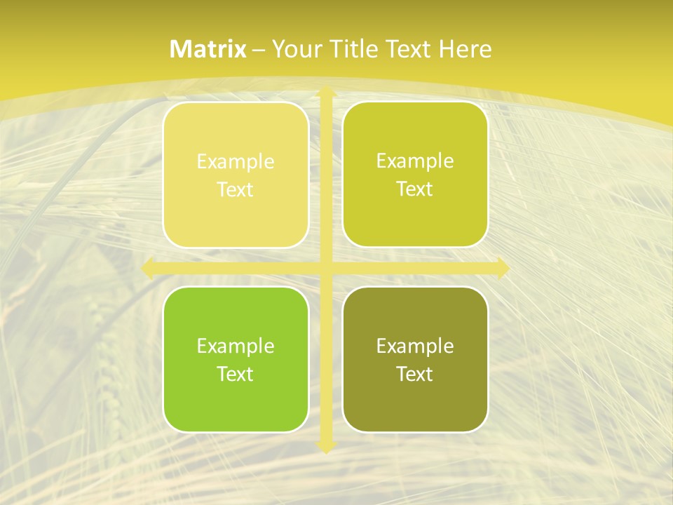 Wheat PowerPoint Template