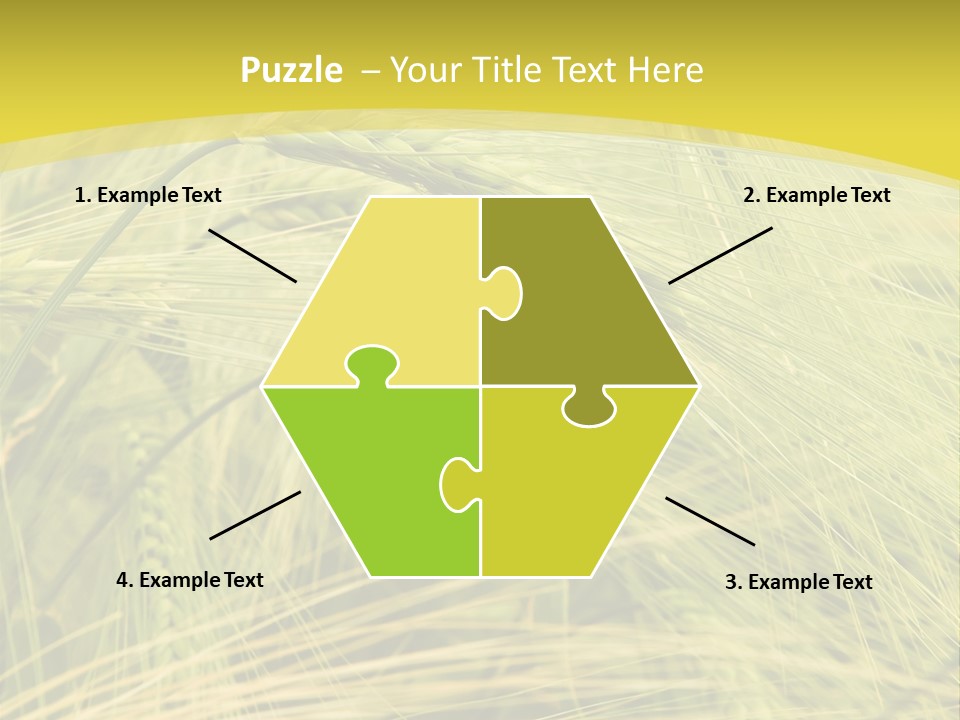Wheat PowerPoint Template