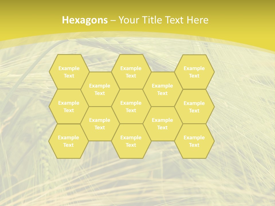 Wheat PowerPoint Template