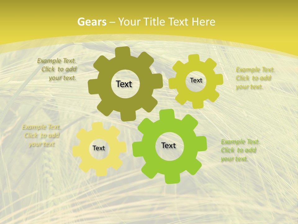 Wheat PowerPoint Template