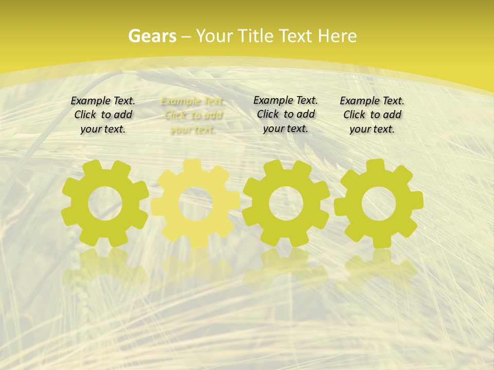Wheat PowerPoint Template
