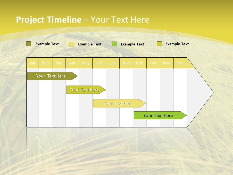 Wheat PowerPoint Template
