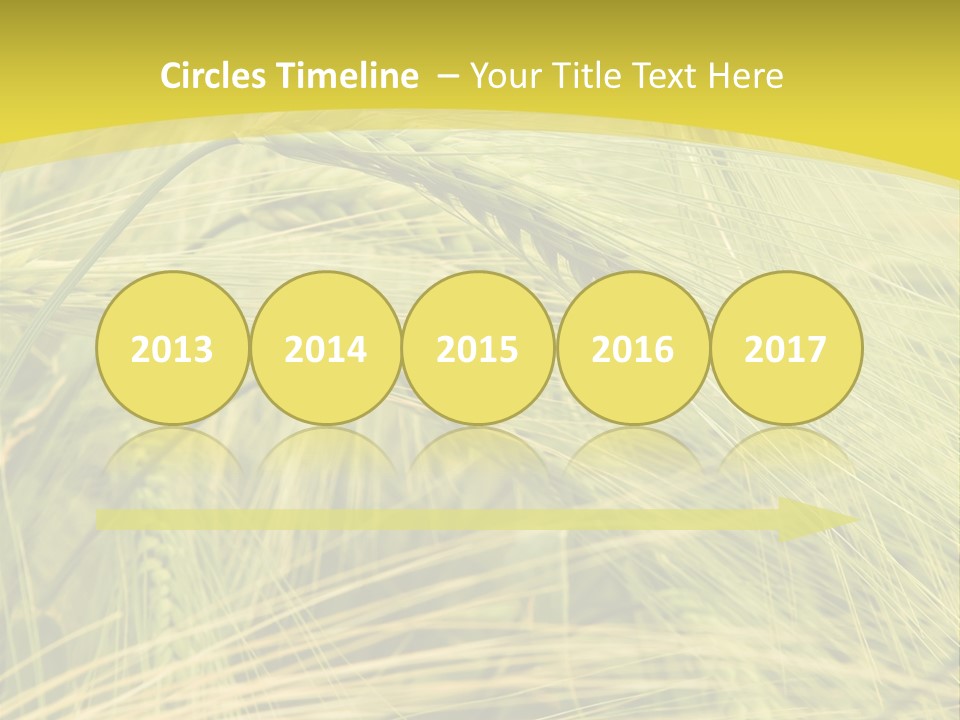 Wheat PowerPoint Template