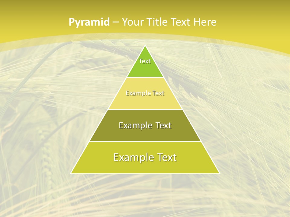 Wheat PowerPoint Template