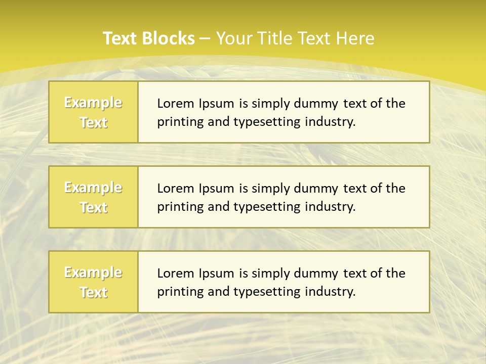 Wheat PowerPoint Template