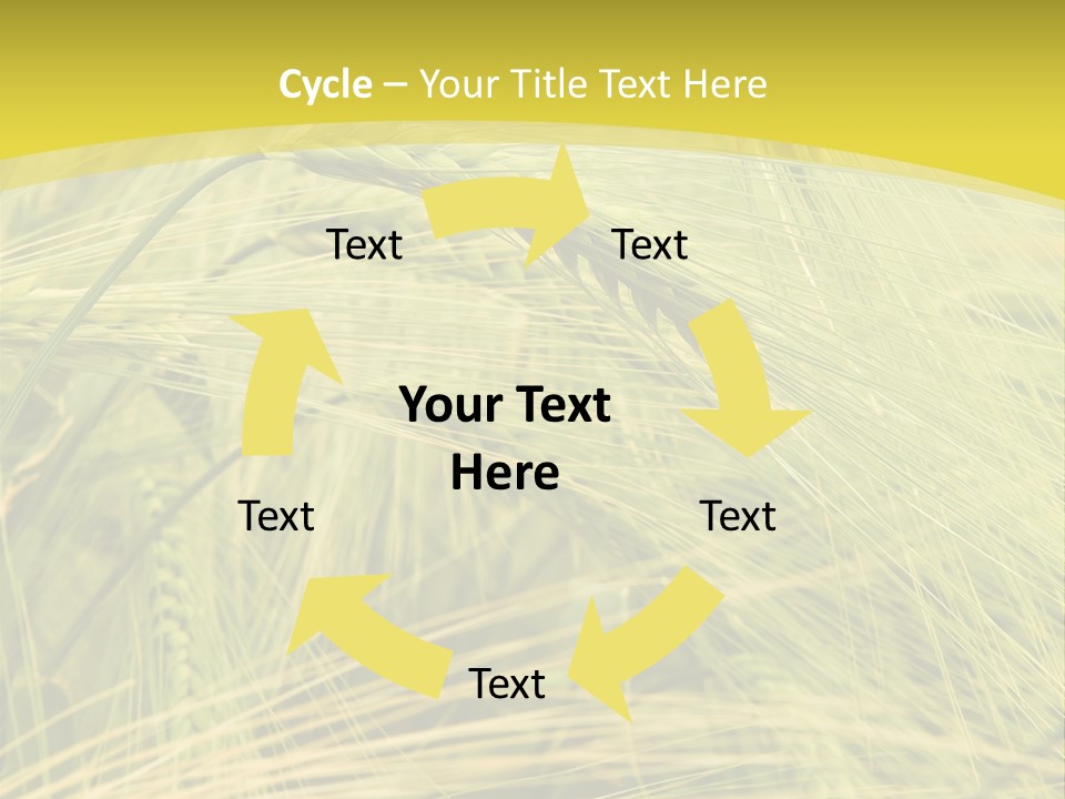 Wheat PowerPoint Template