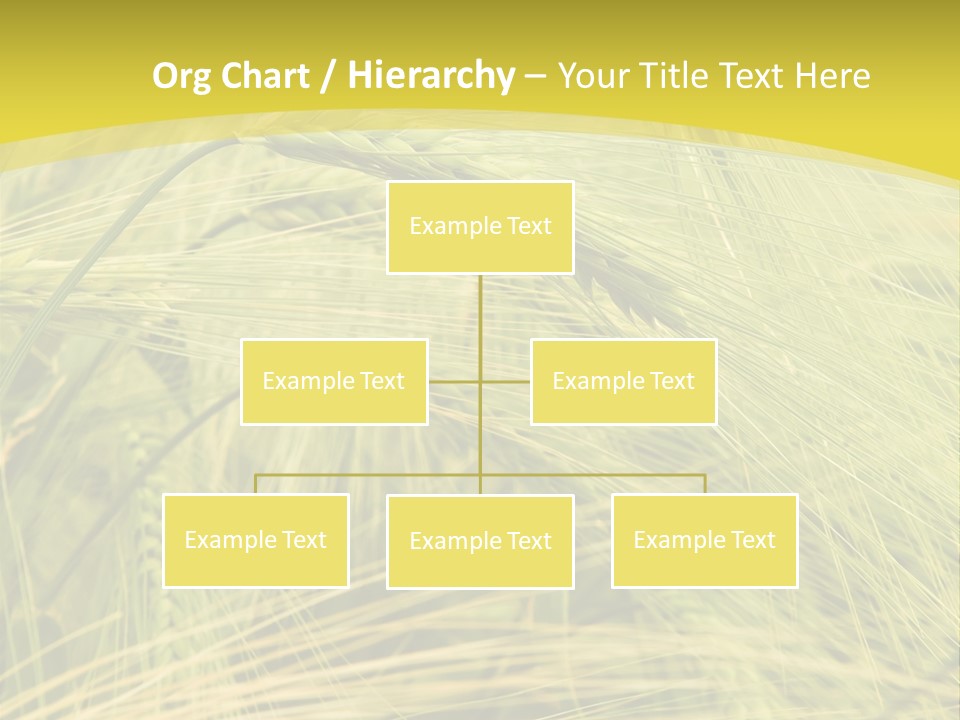 Wheat PowerPoint Template