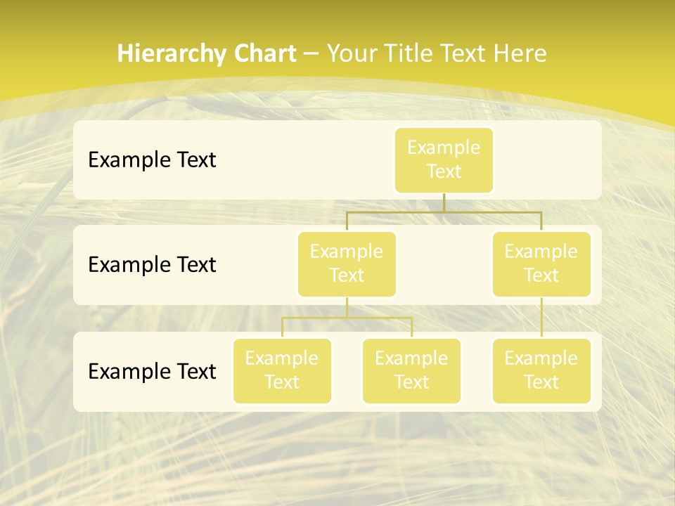 Wheat PowerPoint Template