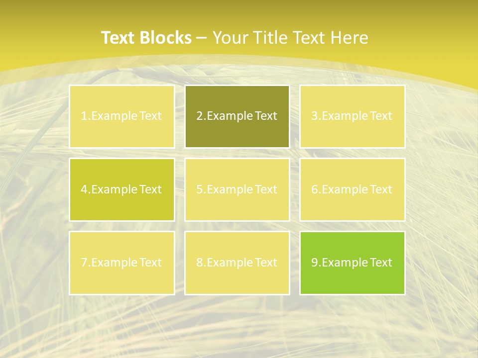 Wheat PowerPoint Template