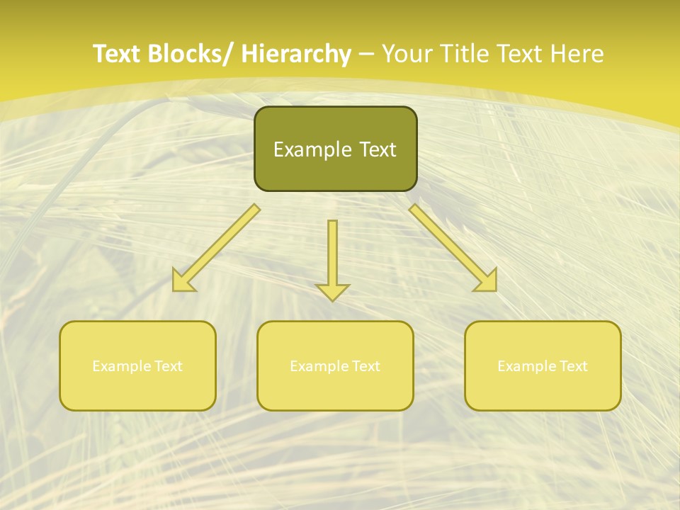 Wheat PowerPoint Template