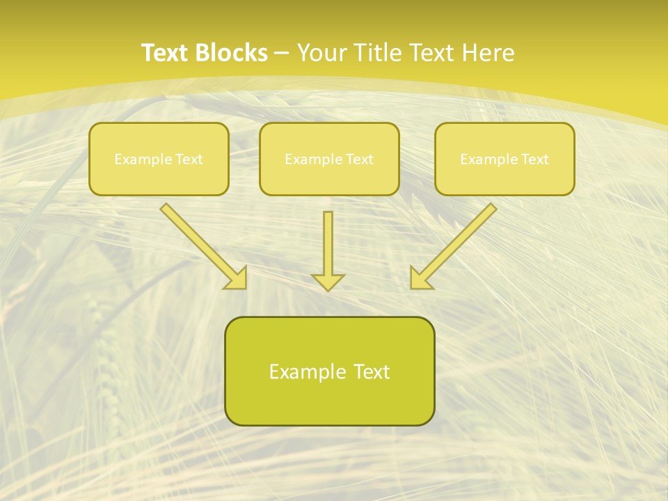 Wheat PowerPoint Template
