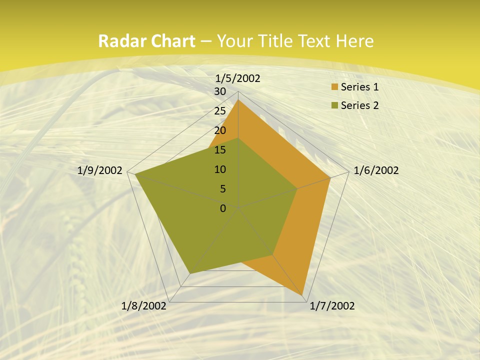 Wheat PowerPoint Template