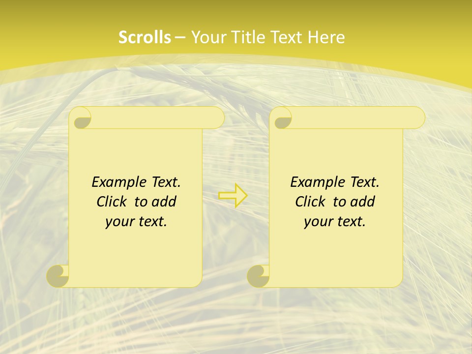 Wheat PowerPoint Template