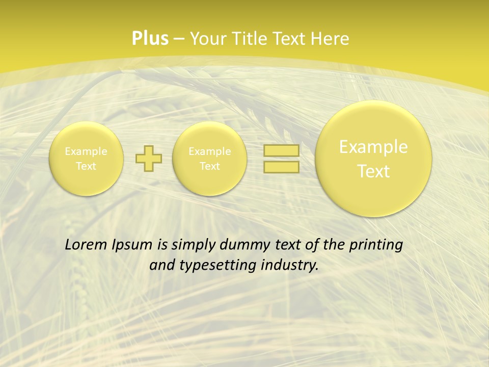 Wheat PowerPoint Template