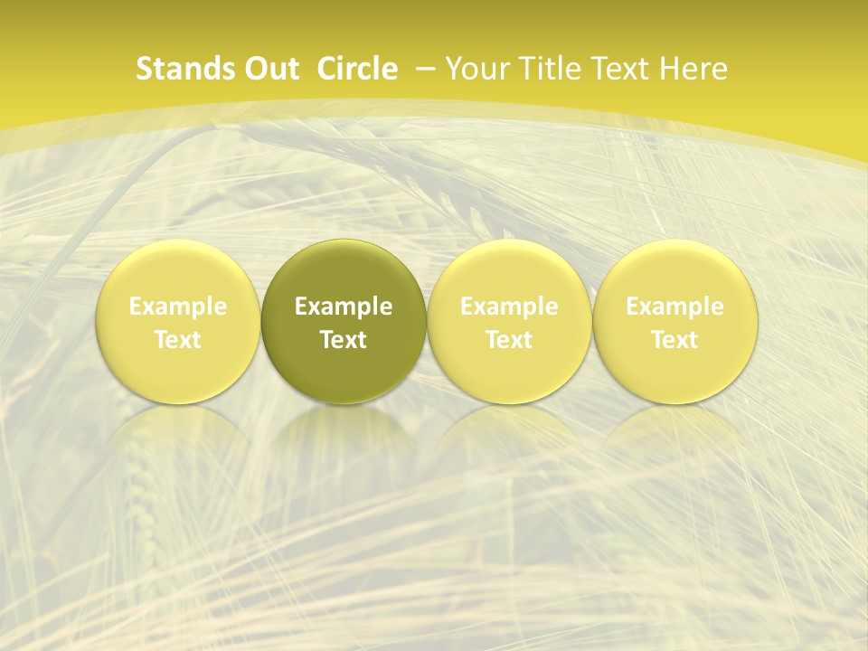 Wheat PowerPoint Template
