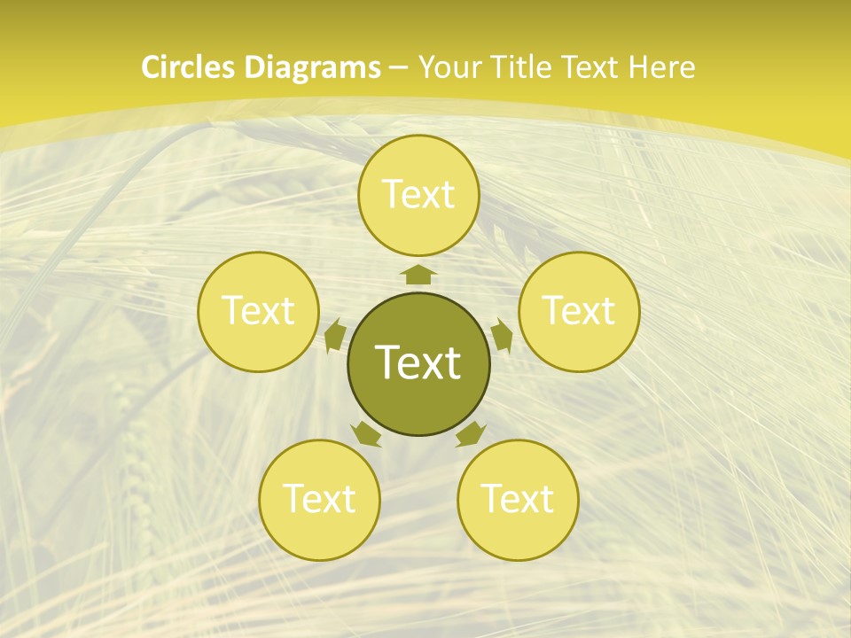 Wheat PowerPoint Template