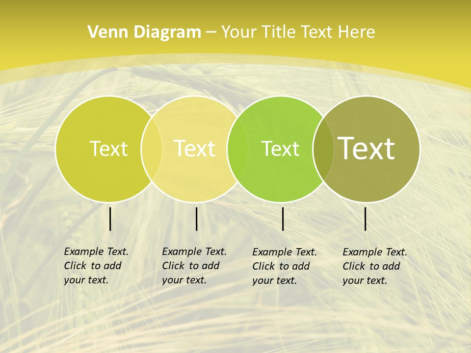 Wheat PowerPoint Template