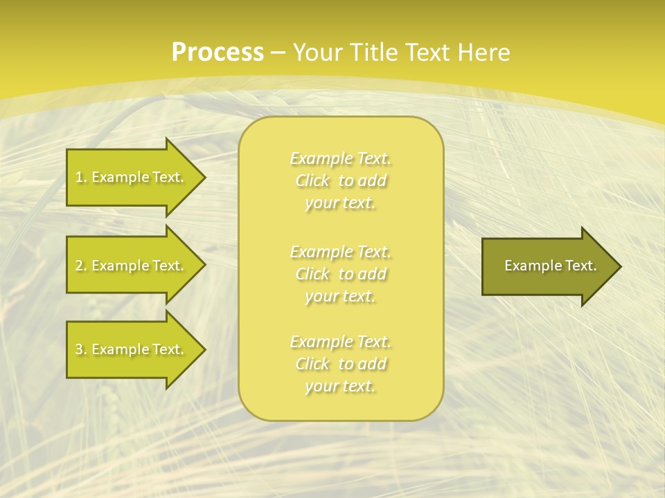Wheat PowerPoint Template