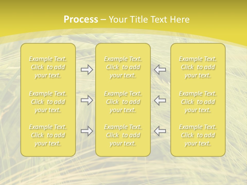 Wheat PowerPoint Template