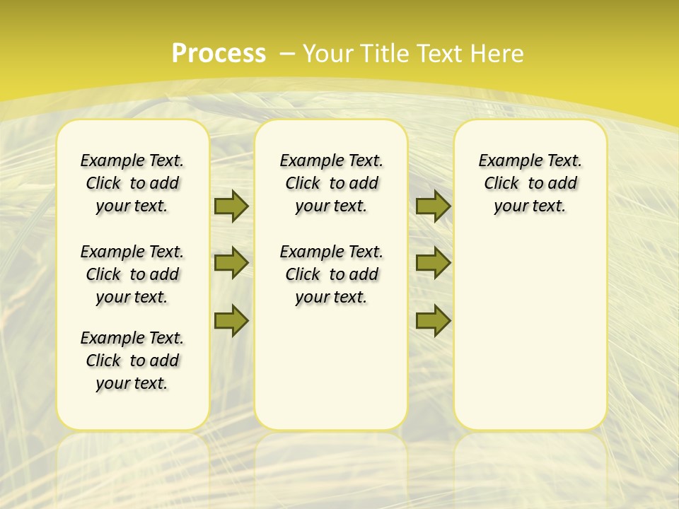 Wheat PowerPoint Template
