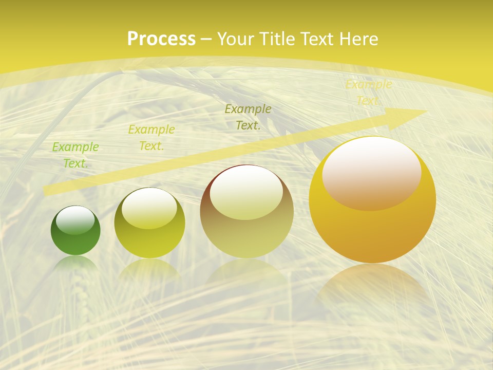 Wheat PowerPoint Template