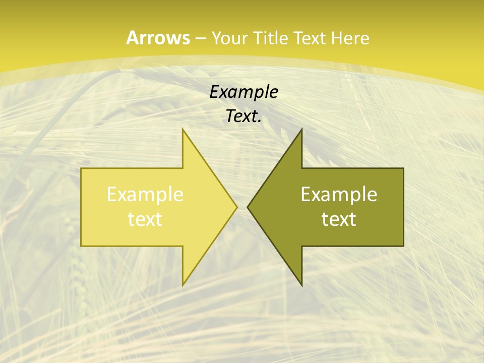 Wheat PowerPoint Template