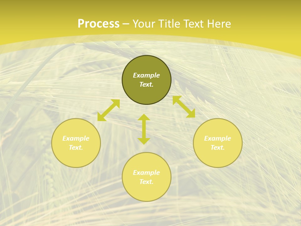 Wheat PowerPoint Template