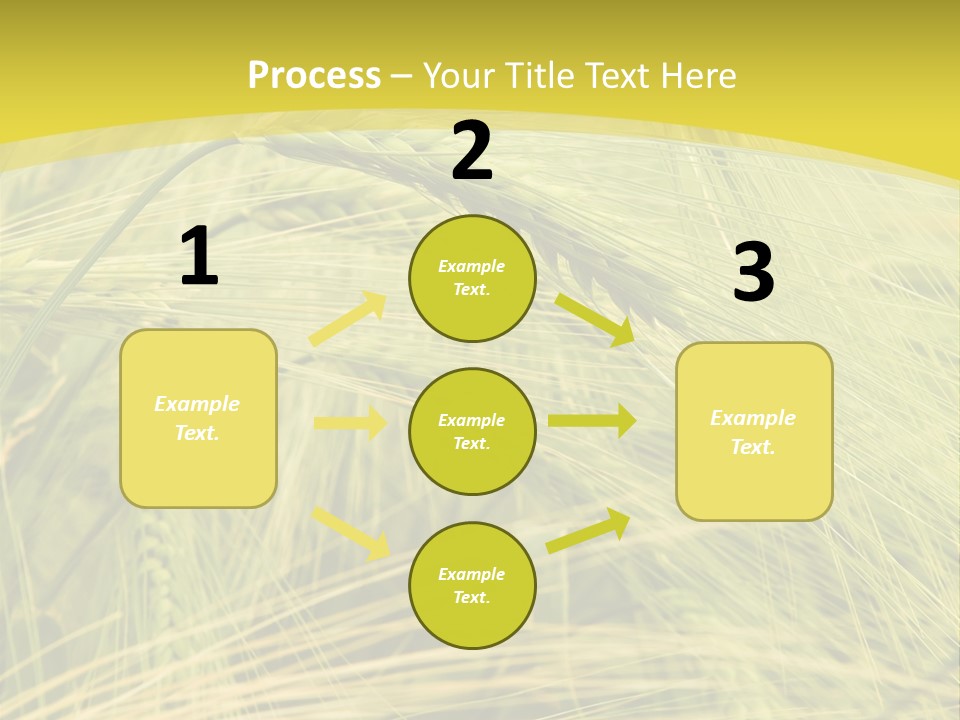 Wheat PowerPoint Template