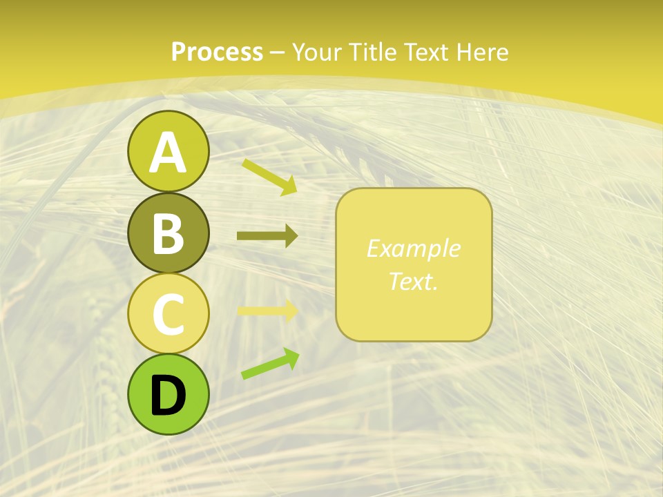 Wheat PowerPoint Template