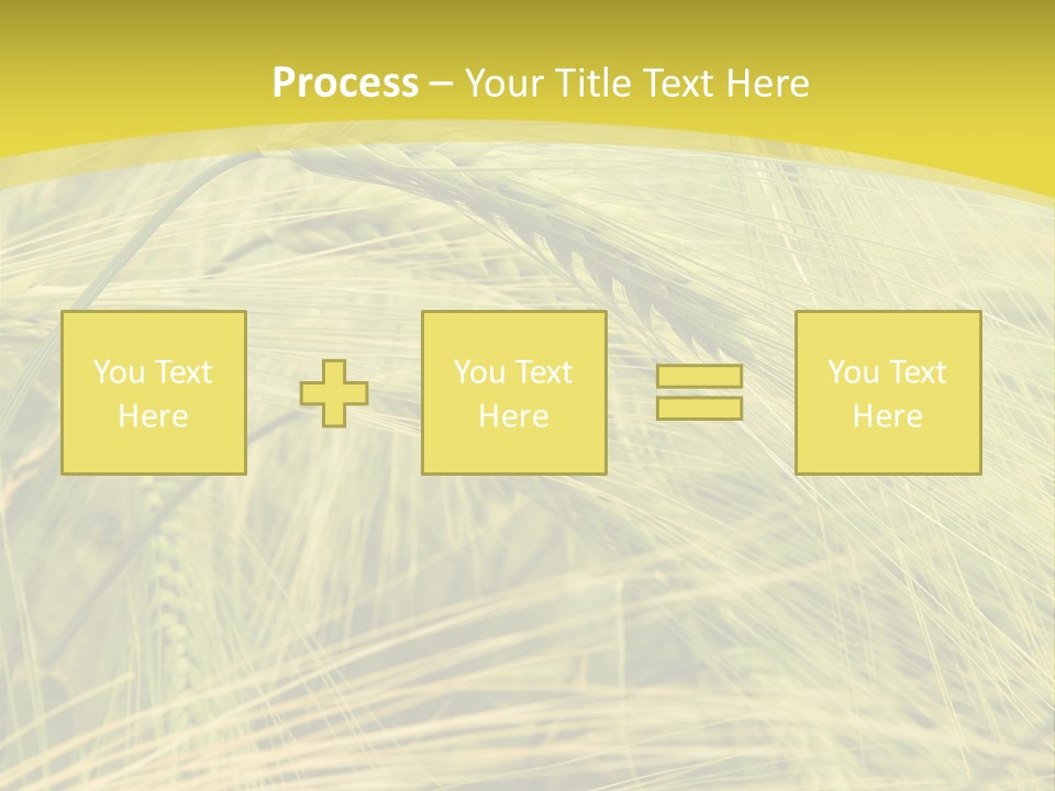 Wheat PowerPoint Template