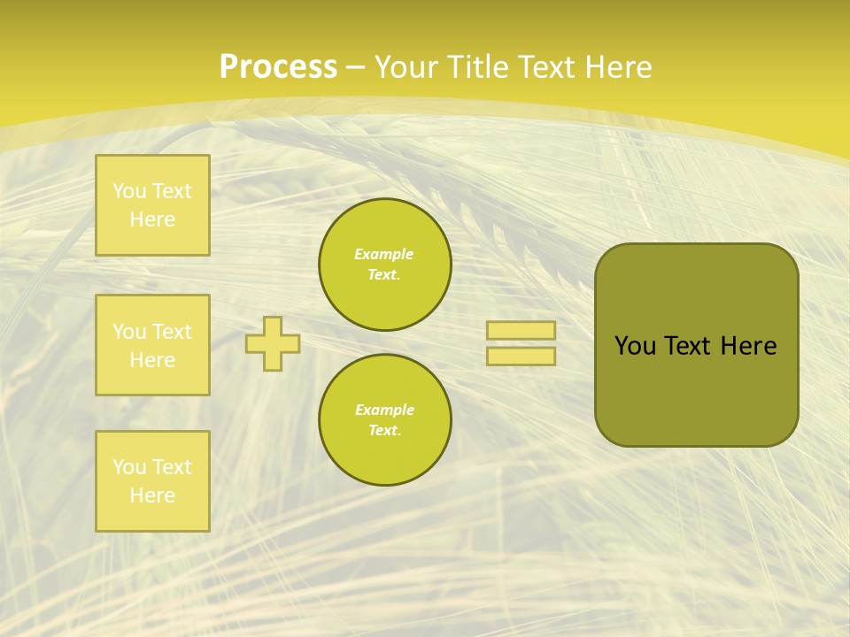 Wheat PowerPoint Template