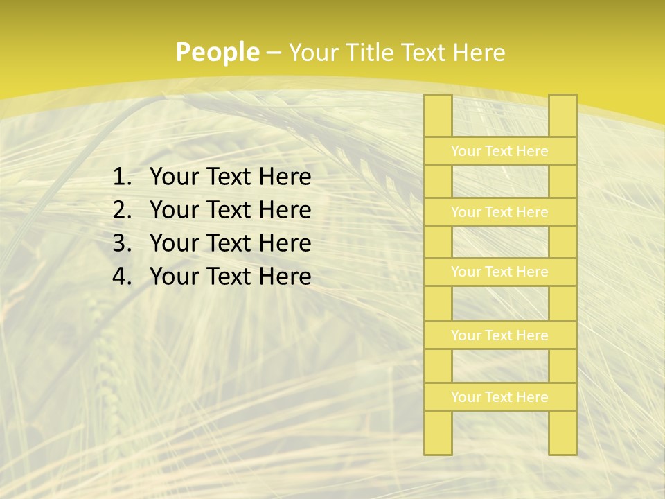 Wheat PowerPoint Template