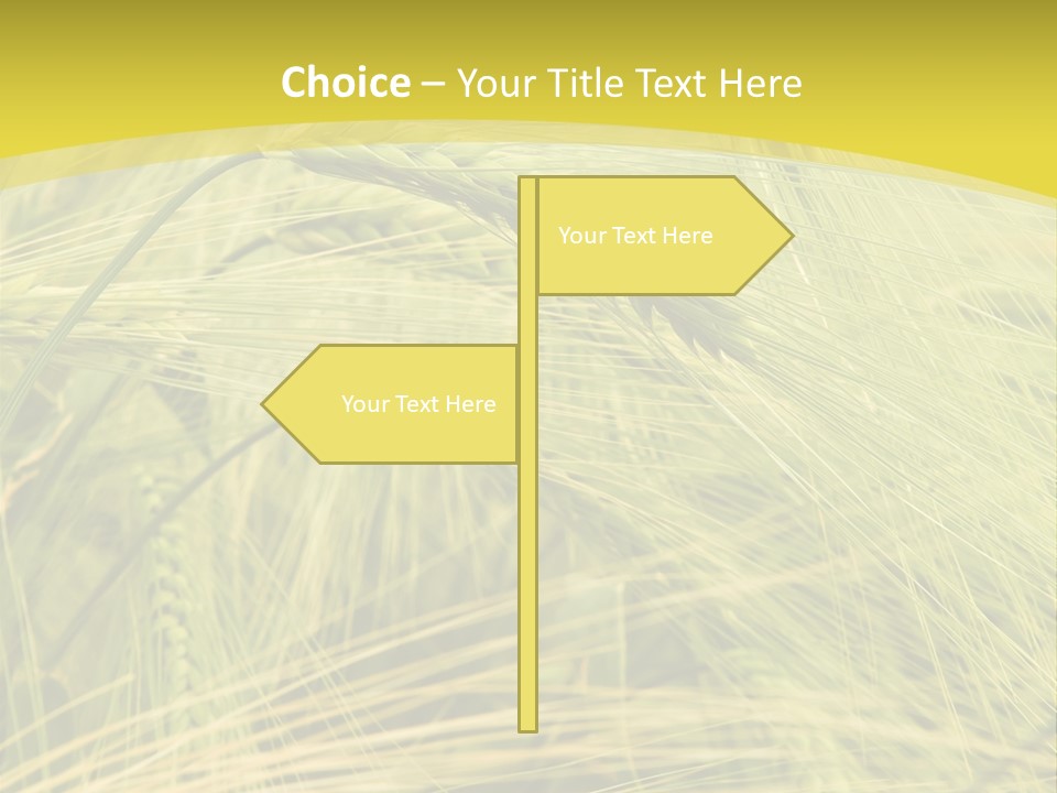 Wheat PowerPoint Template