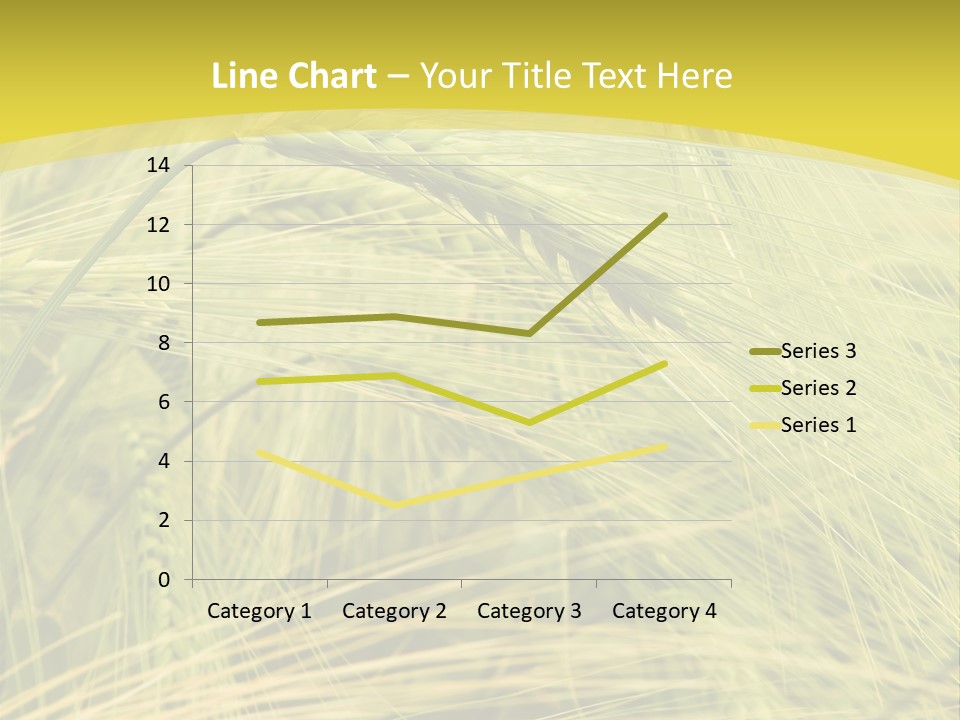 Wheat PowerPoint Template