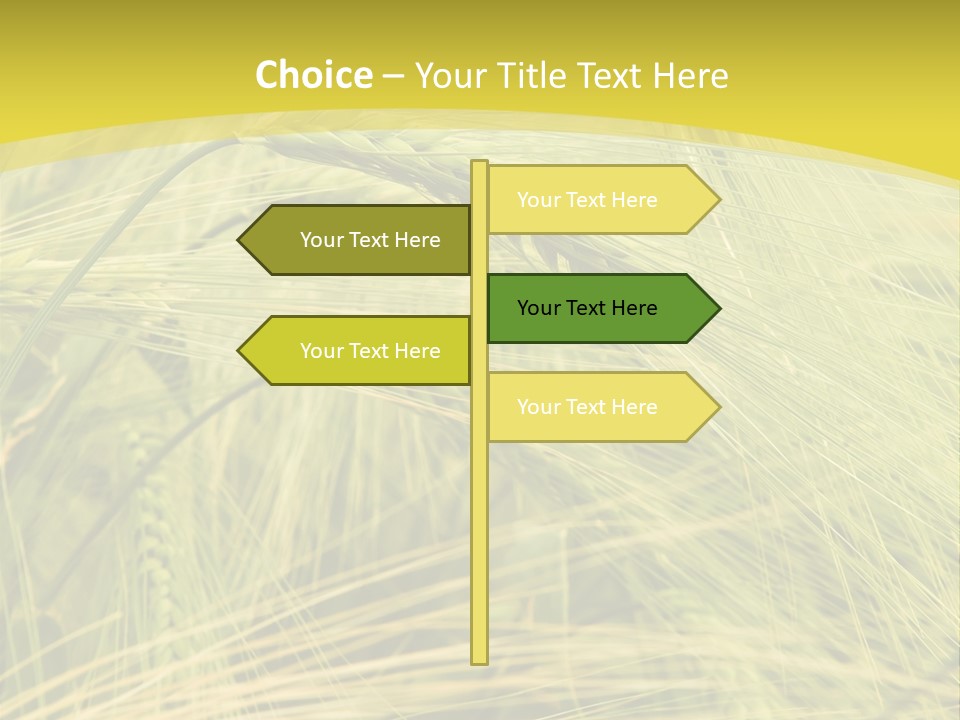 Wheat PowerPoint Template