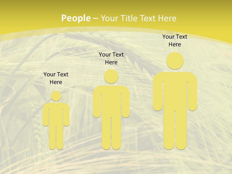 Wheat PowerPoint Template