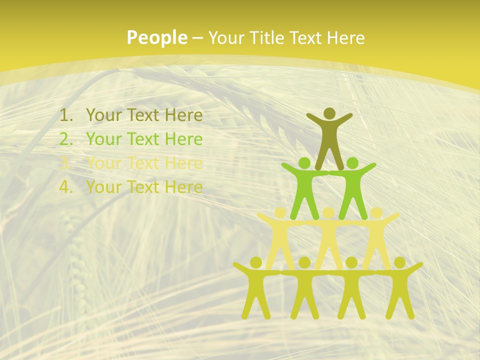 Wheat PowerPoint Template