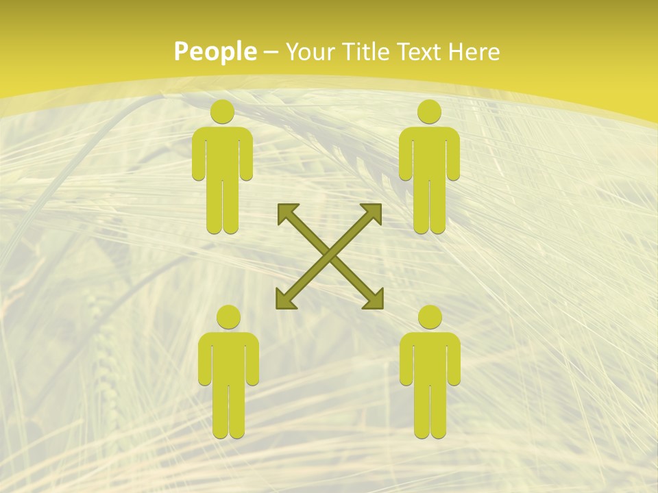 Wheat PowerPoint Template