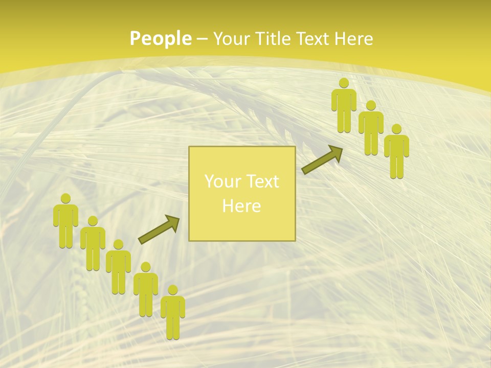 Wheat PowerPoint Template