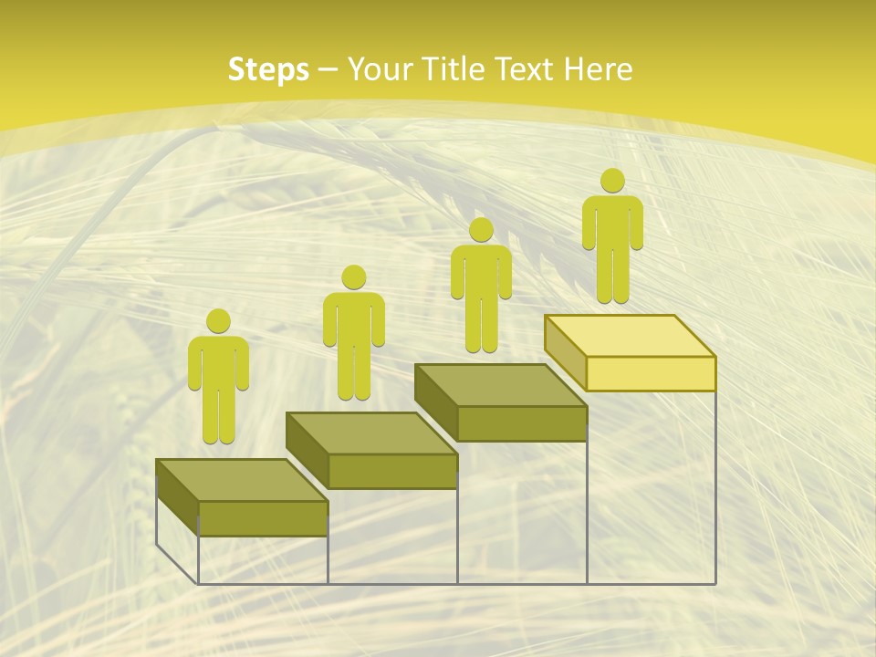 Wheat PowerPoint Template