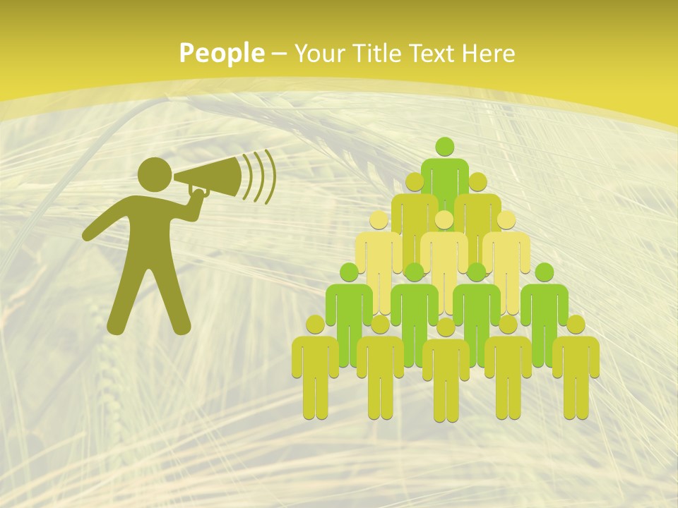 Wheat PowerPoint Template