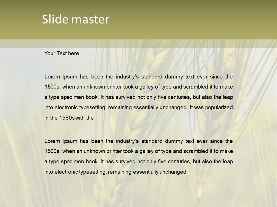 Wheat Background PowerPoint Template