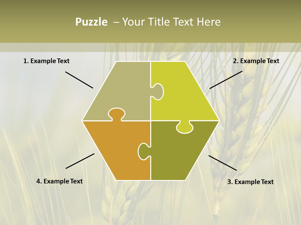 Wheat Background PowerPoint Template