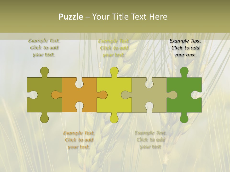 Wheat Background PowerPoint Template