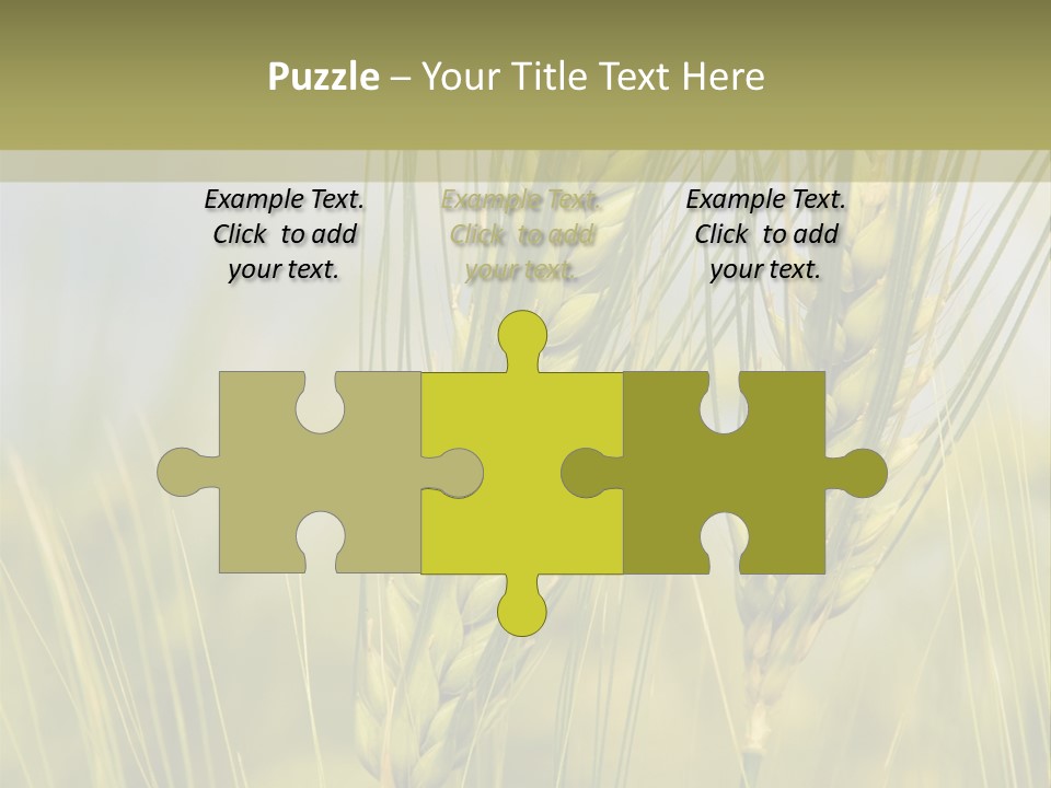 Wheat Background PowerPoint Template