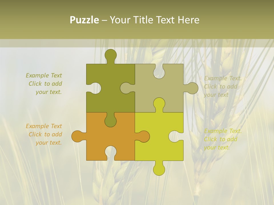 Wheat Background PowerPoint Template