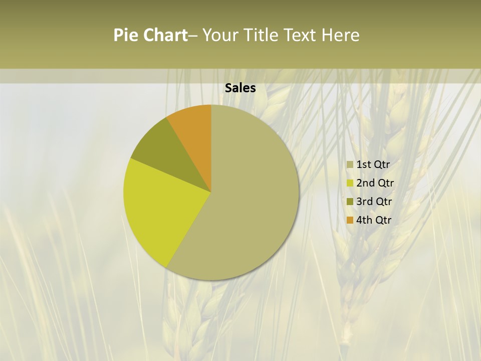 Wheat Background PowerPoint Template